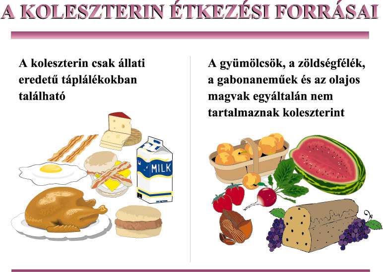 koleszterinszegény étrendek)